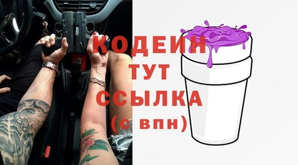молекула духа Лабытнанги