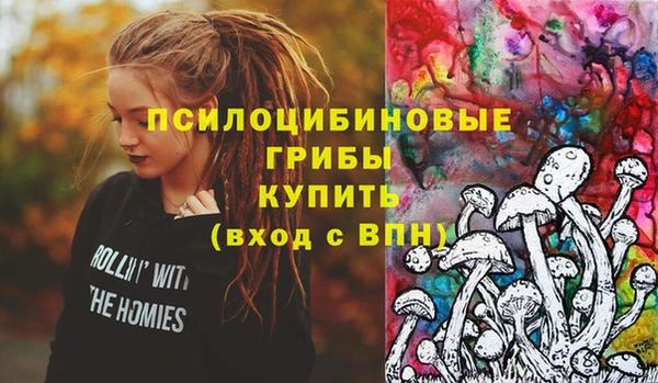 винт Переславль-Залесский