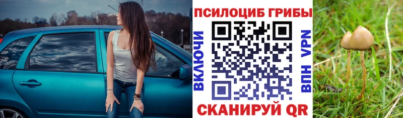 Галлюциногенные грибы ЛСД  цена наркотик  Елизаветинская 